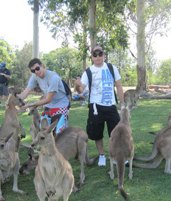 LSI Brisbane Activities A3.JPG